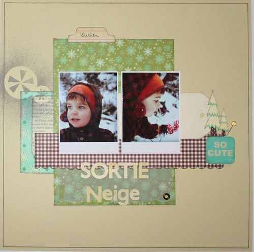 neige-flocon.jpg