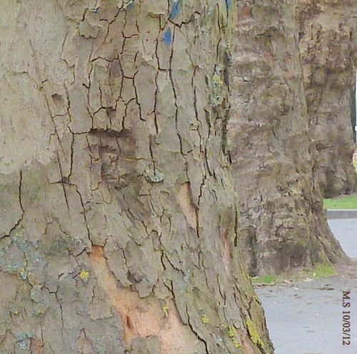 10-03-12-006-copie-1.jpg