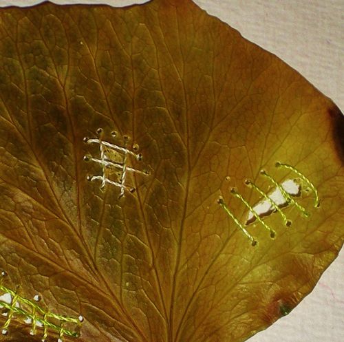 feuilles-tissage-001--2-.jpg