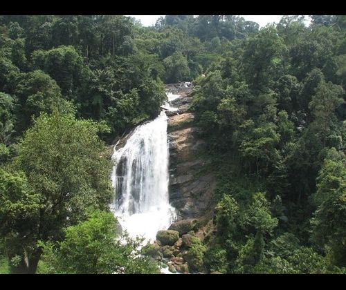 Kerala The Unique Tourist Destination Of The 21st Century Of The
