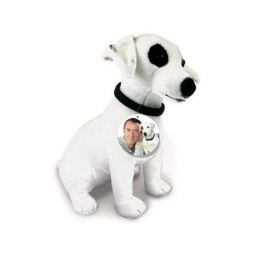 peluche jack russel