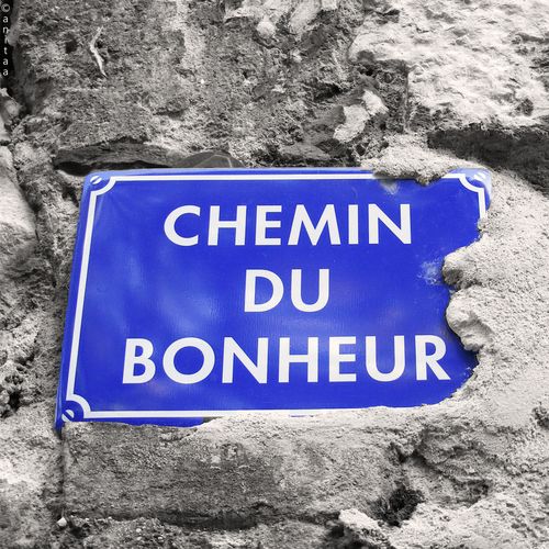 chemindubonheur.jpg