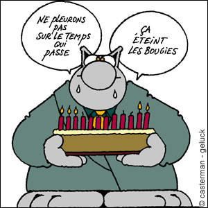 lechat01[1]-copie-1