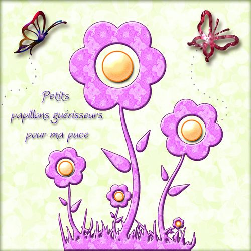 http://img.over-blog.com/500x500/0/38/44/55/pages-de-scrap/papillons-gu-risseurs-copie.jpg