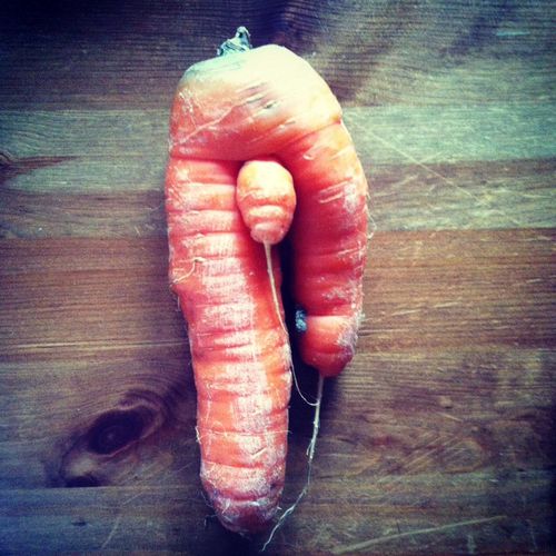 carotte-male.jpg