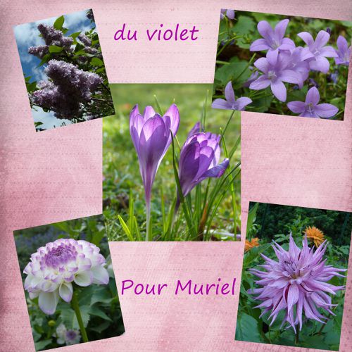pour-muriel.jpg