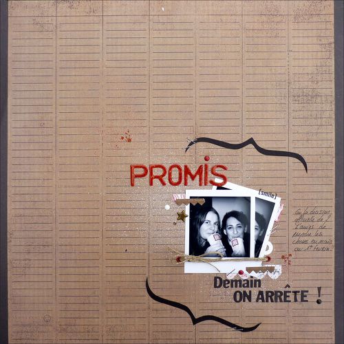2011-01-31 promis