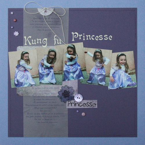 kung-fu-princesse.jpg
