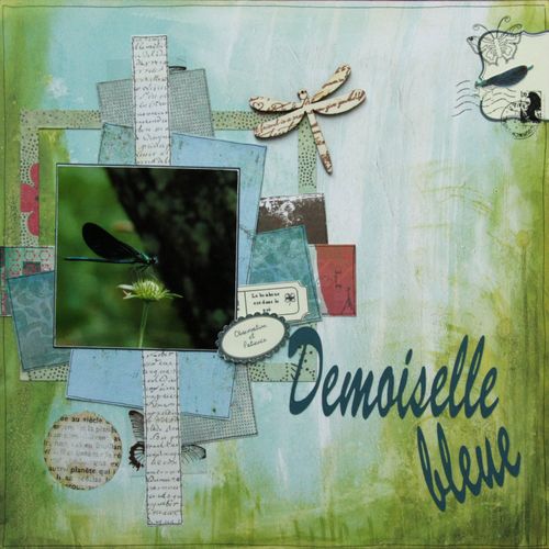demoiselle-bleue.jpg