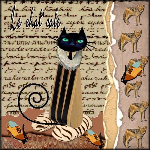 chat cale 1