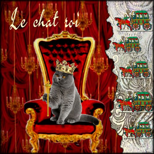 le chat roi2