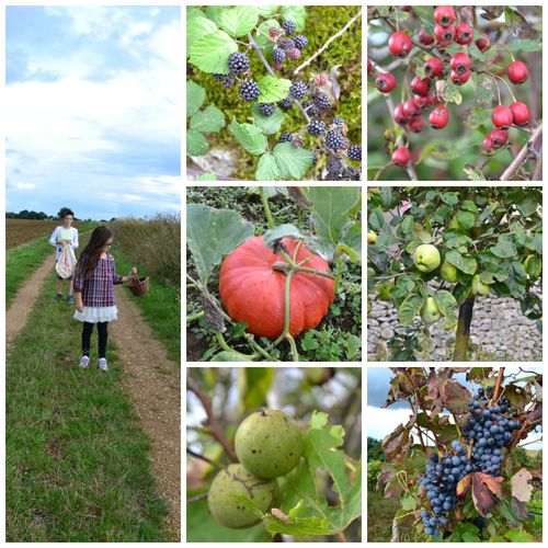 PicMonkey-Collage-copie-13.jpg