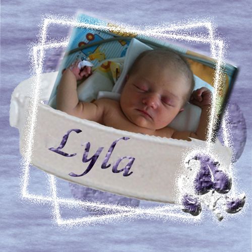 Lyla-copie.jpg