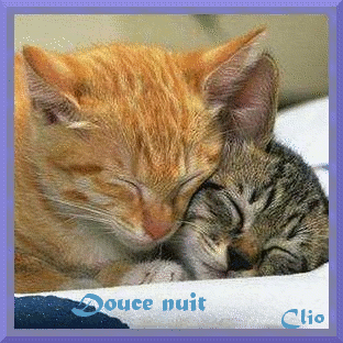 img-1911033wnej-1-.gif