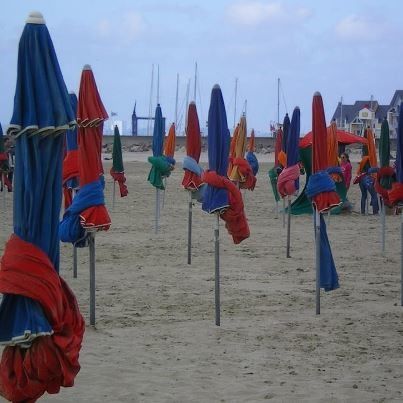 ALPLAGE.jpg