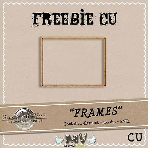 MissVivi_Frames_CU_PV_Freebie600.jpg