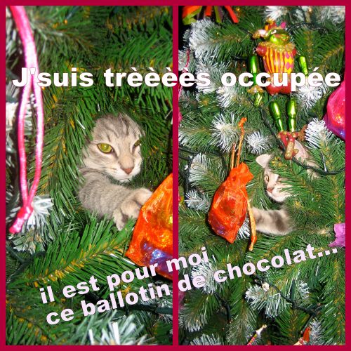 9 déc2