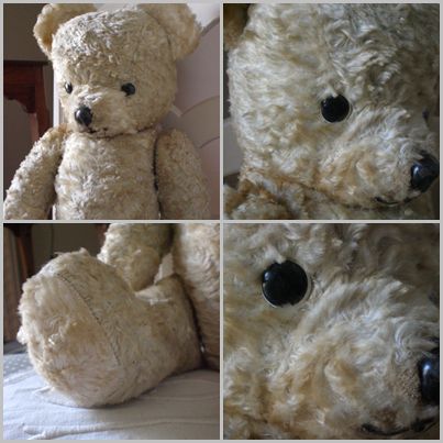 ours-peluche.jpg
