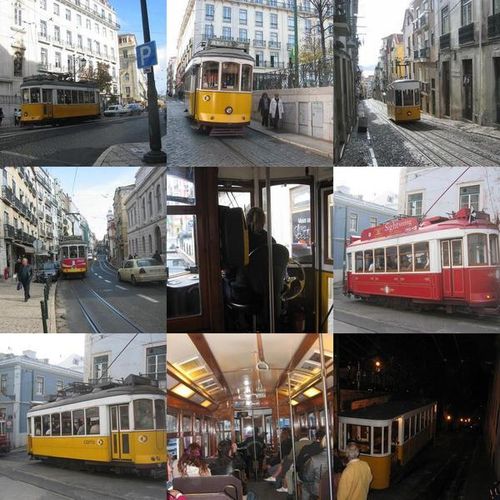 les---trams--.jpg