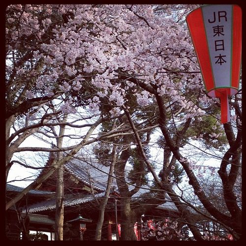 Parc Ueno - Tokyo 2012 - © InVarietateConcordia.net