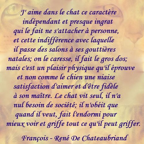 chat-chateaubriand.jpg