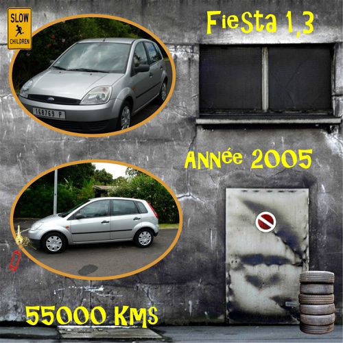 Fiesta.jpg