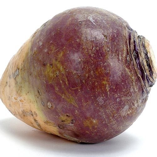 rutabaga2.jpg