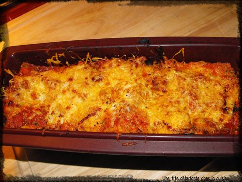 Mes Lasagnes Sans Bechamel Une Tite Debutante Dans La Cuisine