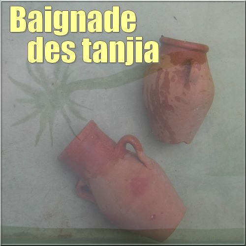 Baignade-des-tanjia