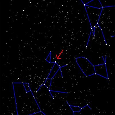 canis_major___minor___lepus.jpg