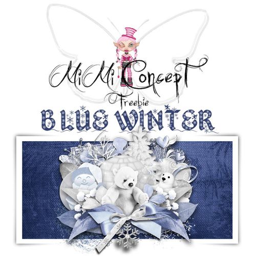 MiMiConcept-Blue-Winter--pv.jpg