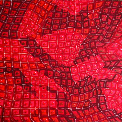 CARAPACE 05