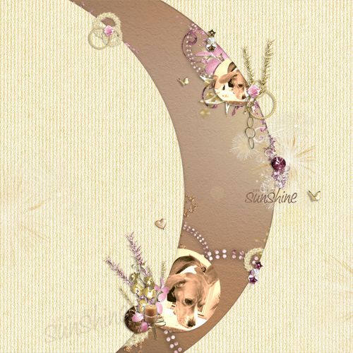 sparklingnight2-copie.jpg