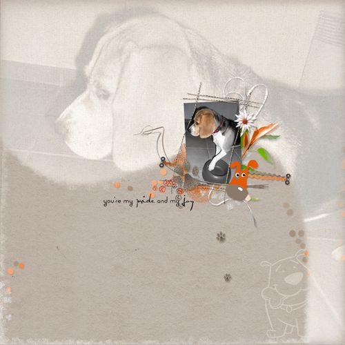 tim-sdog-copie.jpg
