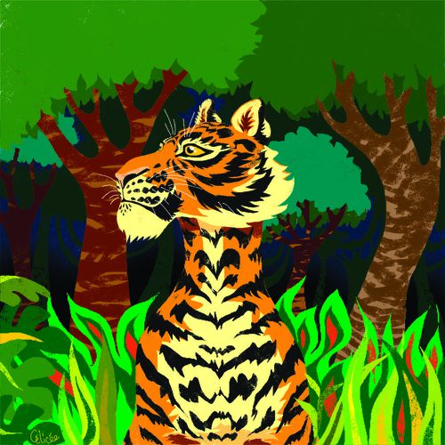 Tigre-copie-1.jpg
