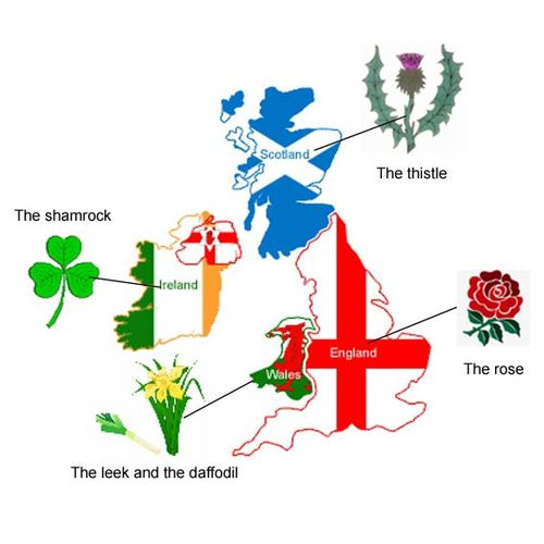 http://img.over-blog.com/500x500/3/21/62/15/English-speaking-countries/british-isles-emblems-copie-2.jpg