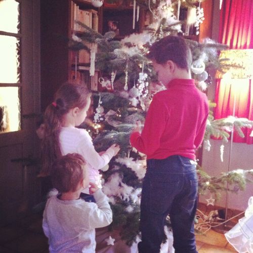 photo-sapin-2010.JPG