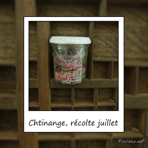 juillet.jpg