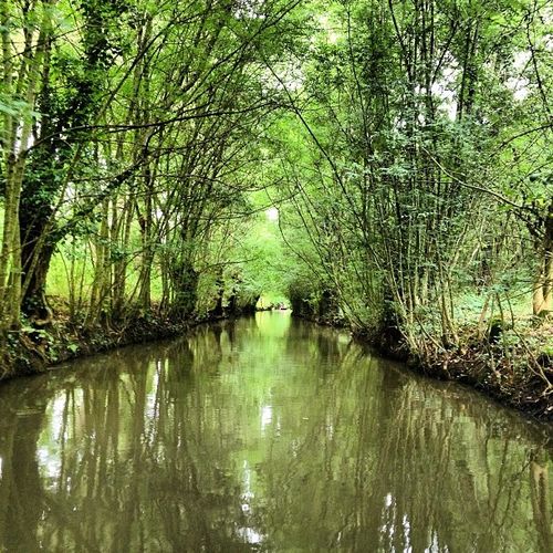 marais