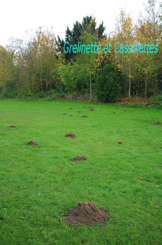 Potager En Danger Grelinette Et Cassolettes