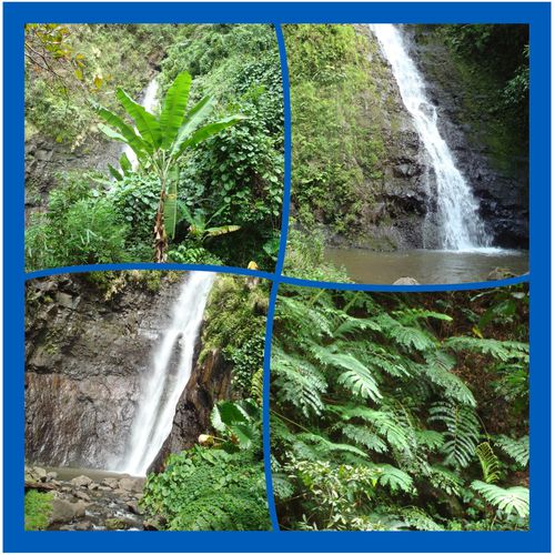 3Cascades3