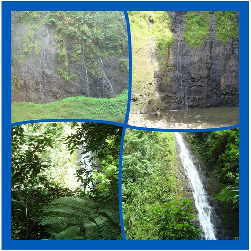 3cascades2