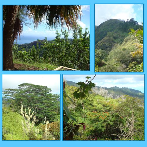 Mont aorai paysage