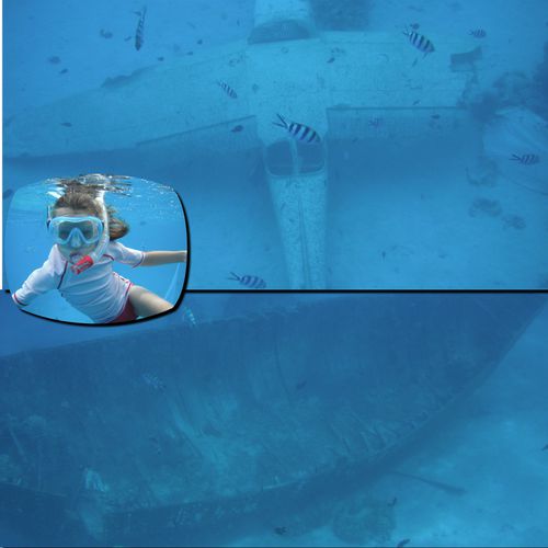 aquarium