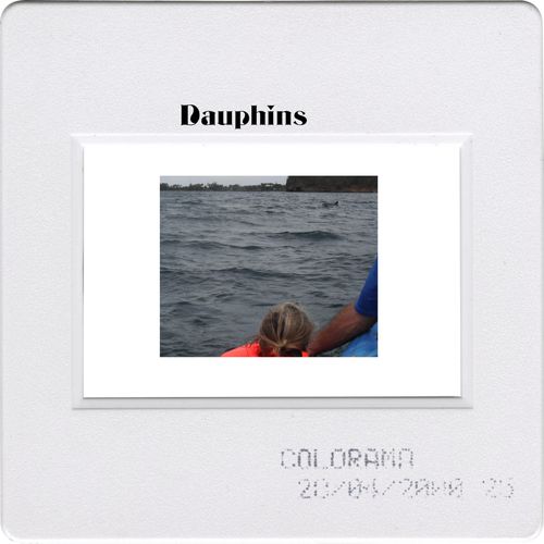 Dauphinskayak