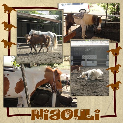 cheval3.jpg