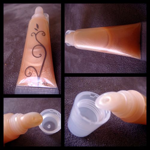 Mon-premier-gloss--3-.jpg