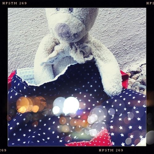 photo-5.JPG
