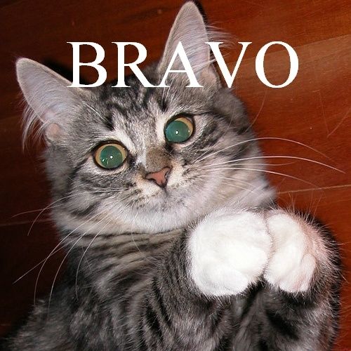Calendrier N-S 2011 - Page 3 Bravo
