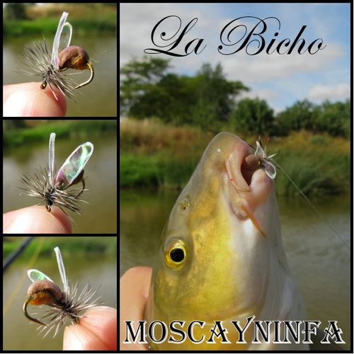 Montaje la bicho-copia-1